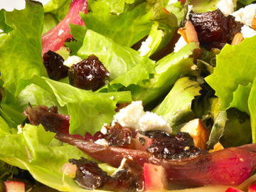 Grilled Escarole Salad
