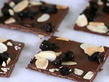 Dried Fruit Bark