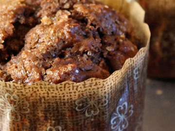 Cocoa Muffins