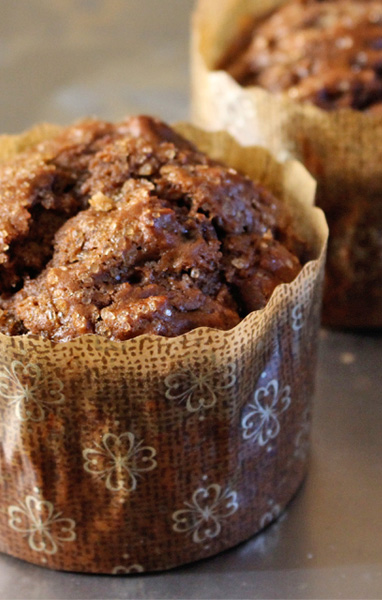 Cocoa Muffins